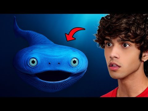 never fishing at night again... (Loan Shark)