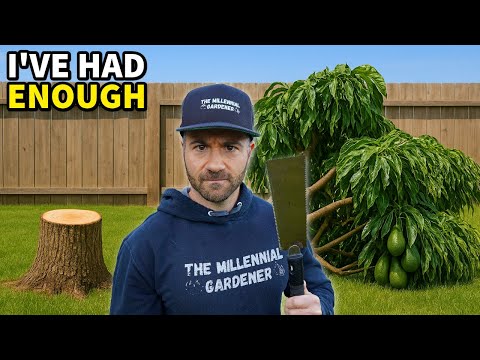 I've Had It: I'm FORCING This Stupid Tree To Fruit!!!