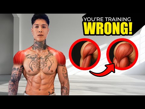 YOUR SHOULDERS NEED THESE EXERCISES FOR CALISTHENICS | STRENGTH + MUSCLE