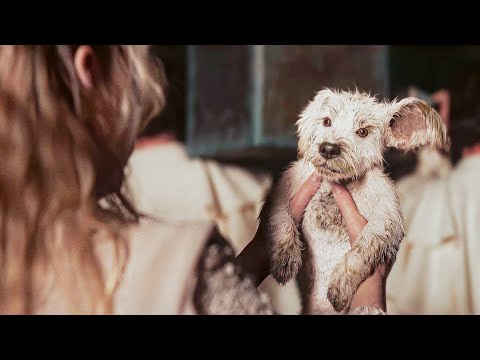 Kara Meets Baby Krypto! - SUPERGIRL New Teaser Trailer (2026) Super Bowl