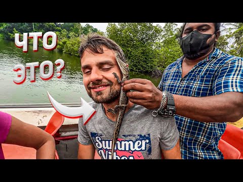 Плюсы и Минусы Шри Ланки Без Прикрас