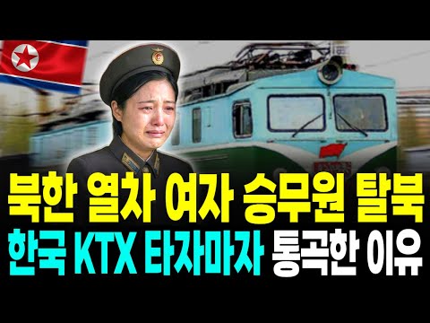 북한 기차 철도승무원, 서울역에서 표 1장 끊고 오열한 이유ㅣ탈북감동사연