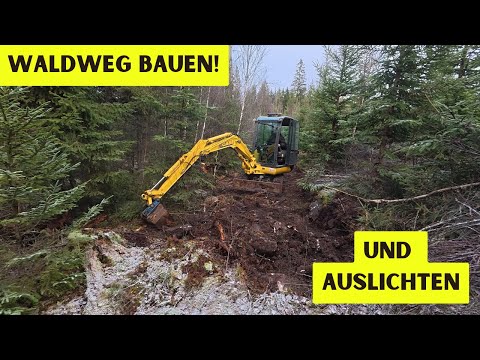 Einen neuen Waldweg bauen und auslichten - Erster Job für den neuen Minibagger.
