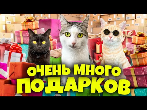Подарки от подписчиков для наших домашних животных / SANI vlog