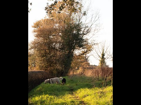 Painting a Landscape from a Photo: Friday Live - Live Oil Painting Demonstration