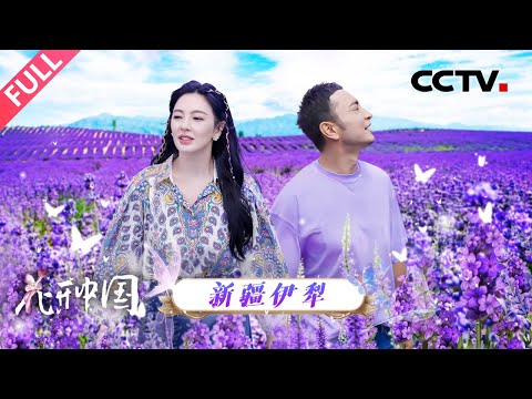 【Full】你见过白色的薰衣草吗？有一种绿叫那拉提绿！别错过，跟尼格买提、张雨绮探秘新疆的色彩美学 | CCTV「花开中国」20251004 第3期