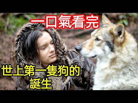 爆火治癒萌寵電影，世界上第一隻狗的誕生，一口氣看完【阿爾法：狼伴歸途】完整版，歐美動物世界電影解說，馴狼紀，極地之王，阿爾法