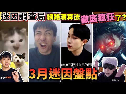 【迷因調查局】3月迷因得了MVP！小明劍魔、Andy老師、蜜X期偷偷佔領演算法的迷因來了/希特勒貓/魔物獵人荒野奧利維亞迷因