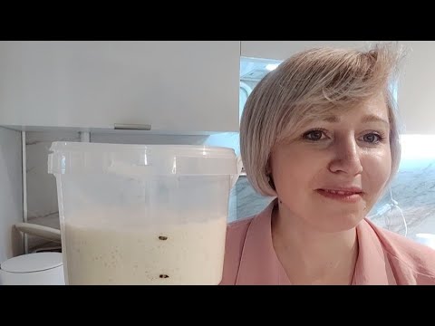Дружба с закваской! как кормить, как хранить!  мой способ!