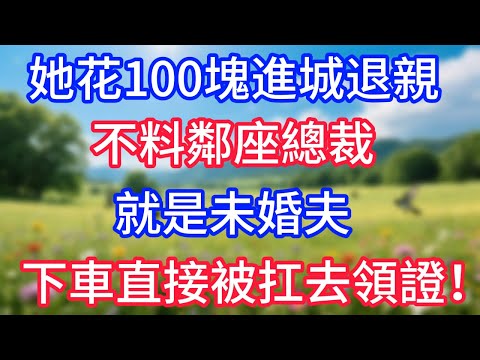 她花100塊進城退親，不料鄰座總裁就是未婚夫，下車直接被扛去領證！