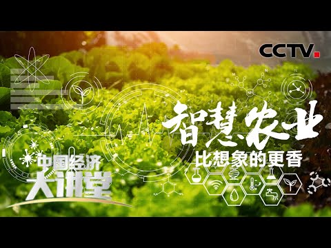 数字技术如何让农民“慧”种田？ 「中国经济大讲堂」20210620 | CCTV财经