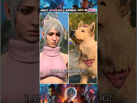 The most adorable animal reaction in Baldur's Gate 3