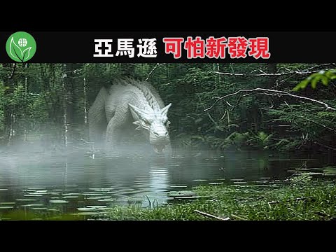 若非相機記錄真難以置信！ 這 15 個最近在亞馬遜雨林中的可怕新發現！ #排名 #冷知識 #top10 #世界之最 #世界之最TOP #探索旅行號 #亞馬遜雨林