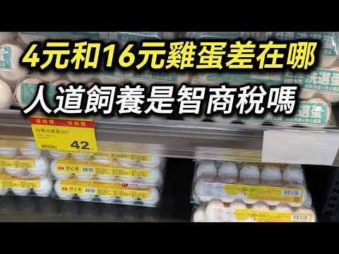 為什麼雞蛋價格可以差好幾倍? 貴的雞蛋比較營養還是人道飼養? 是智商稅嗎? 蛋價 洗選蛋 蛋雞 早餐店加蛋
