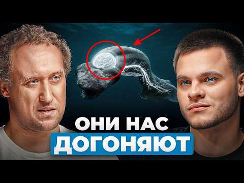 Are we the only intelligent beings in this world? These animals are catching up with us! Moscow S...