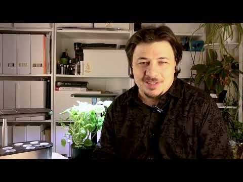 Гидропоника без Тайн: Создаём Зелёный Рай в Квартире