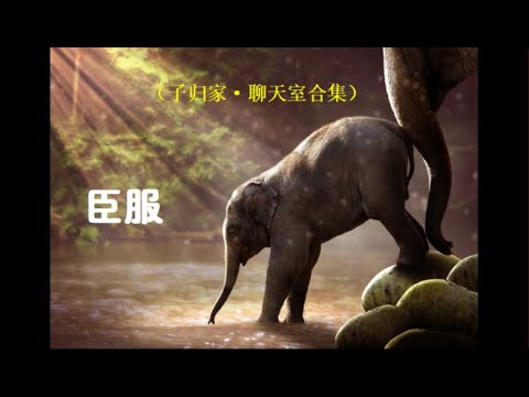 臣服（聊天室合集）