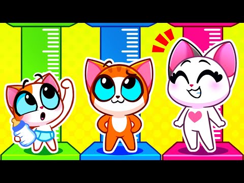 Health Checkup Day | Kids Stories About Health | Useful Stories | Healthy Habits | Purr-Purr