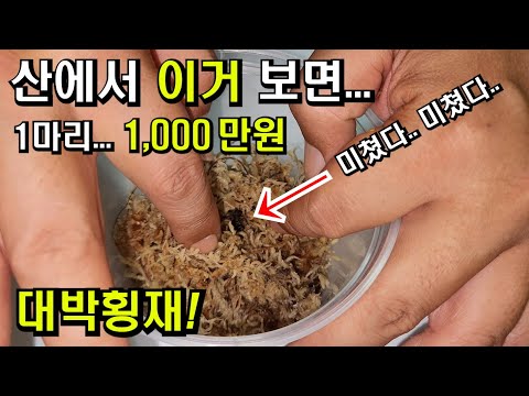 You too, come and find one worth 10 million won.