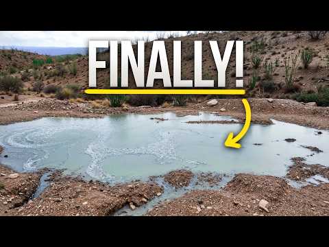 The Best Rain I've Ever Had On My Desert Ranch