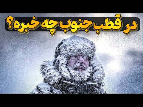 در قطب جنوب این سردترین قاره جهان، چه میگذرد؟