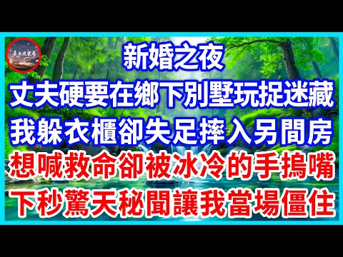 新婚之夜，丈夫硬要在鄉下別墅玩捉迷藏，我躲衣櫃卻失足摔入另間房，想喊救命卻被冰冷的手摀嘴，下秒驚天秘聞讓我當場僵住！#為人處世 #生活經驗 #情感故事 #故事 #小說 #戀愛 #情感 #婚姻