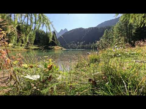 Bach - Music From God