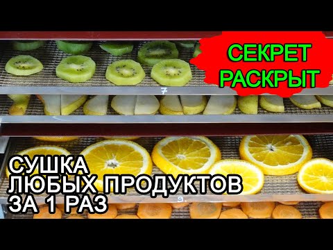 Сушка овощей, фруктов, ягод, трав, чая в инфракрасной сушилке за 1 раз. Обзор ик сушилки ФлексиХИТ