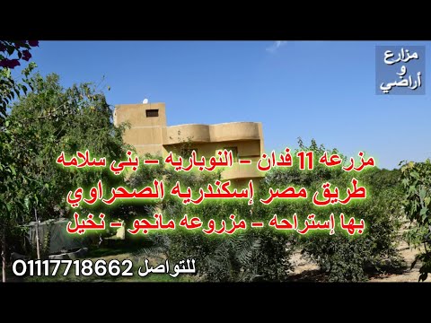 مباعه - مزرعه منتجه 11 فدان بالنوباريه - بها إستراحه - مزروعه مانجو و نخيل