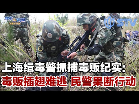 惊心动魄！上海缉毒民警抓捕毒贩纪实，毒贩插翅难逃！缉毒民警果断行动 #城市真英雄 FULL