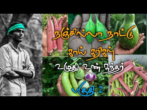 பாரம்பரிய நாட்டு காய்கறிகள் மற்றும் விதை தேர்வு (Part 2) | உழுது உண் சுந்தர் | Kadaimadaivivasayi