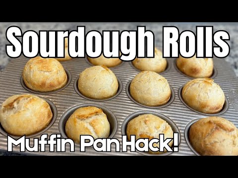 Easy Sourdough Rolls! Same Day, No Stretch & Folds, Beginner Sourdough Bread Recipe!