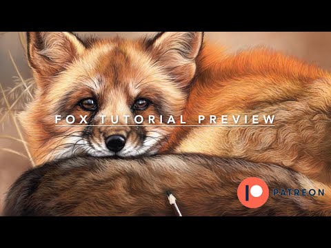 FOX Drawing - Tutorial Preview. Vibrant, Soft Fur Using Soft Pastels + Pastel Pencils #pasteldrawing