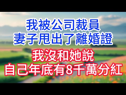 我被公司裁員，妻子甩出了離婚證，我沒和她說，自己年底有8千萬分紅!#完結文#一口氣看完