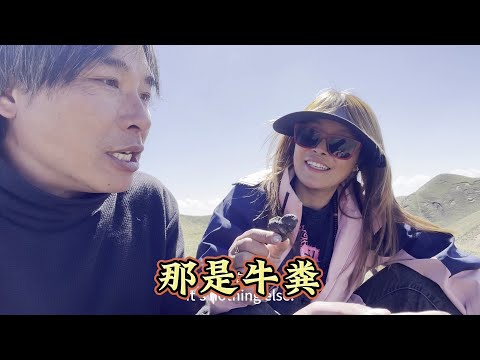 嘎玛带我们去它的牧场，两个博主拿牛粪讨论臭不臭