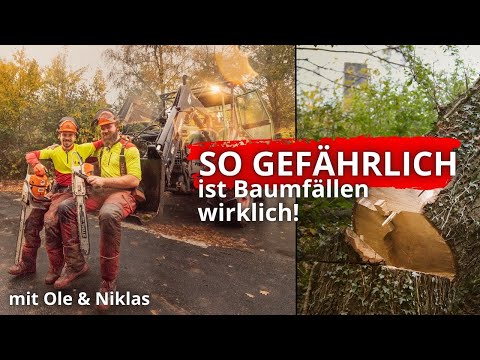 So gefährlich ist Baumfällen wirklich! Ein Tag als Forstwirt🌳🪚