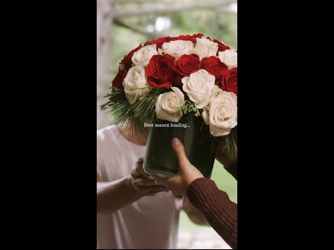 Best Season Loading...