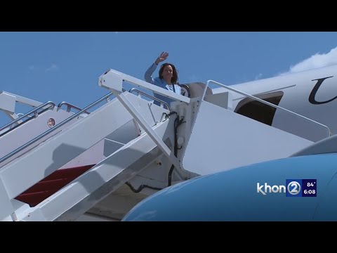 Most delegates pledged to Biden’s pick as replacement choice looms