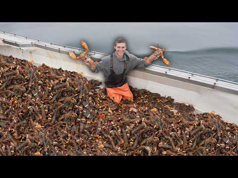 How much I made after catching over 4,000 lobsters