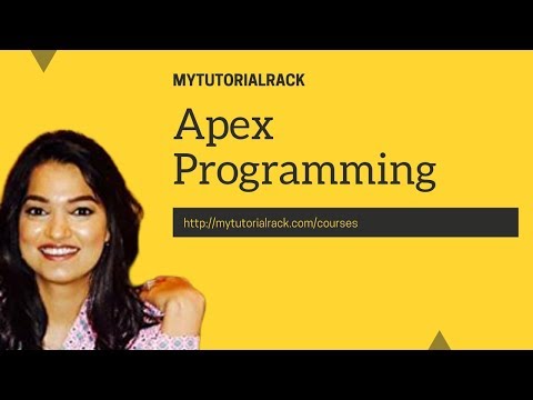 APEX programming for beginners: Primitive Data Types and Variables