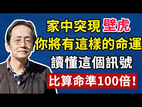 家中出現「壁虎」！命運將迎大轉變！#倪海厦#倪海廈#養生#健康 #易經