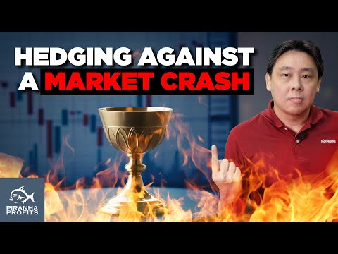 Hedging Against a Market Crash