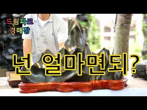 수석경매장 넌 얼마면돼?