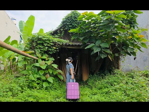 The CEO left the city and returned to the countryside to restore an abandoned lumber mill