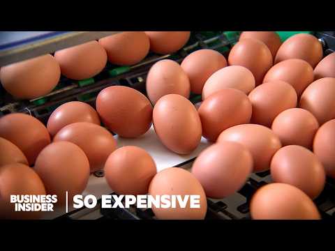 Why Expensive Eggs Are a Bigger Problem Than You Think | So Expensive | Business Insider