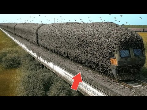 50 shocking photos taken seconds before the disaster | Real footage