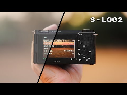 My Sony ZV-E10 S-Log2 Settings & Workflow