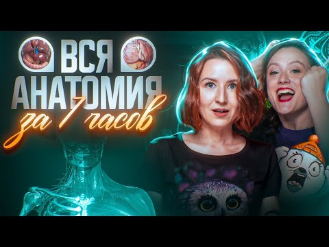 Вся анатомия за 7 часов | ЕГЭ-2025 по биологии
