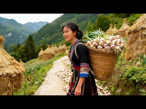 晨雾还未散尽，先收一捧翠生生的青菜，再割一把蒜苗，取一块肥瘦相间的五花肉，炒一锅家常滋味的蒜香五花肉！