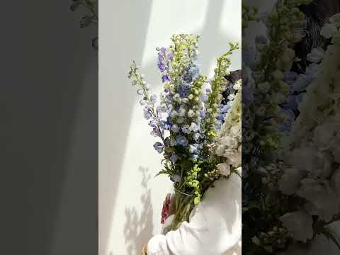 July’s birth flower is the Delphinium